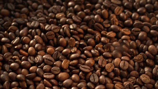 2d Animation Stock Footage, Coffee, Tree, Woody Plant, Bean, Caffeine