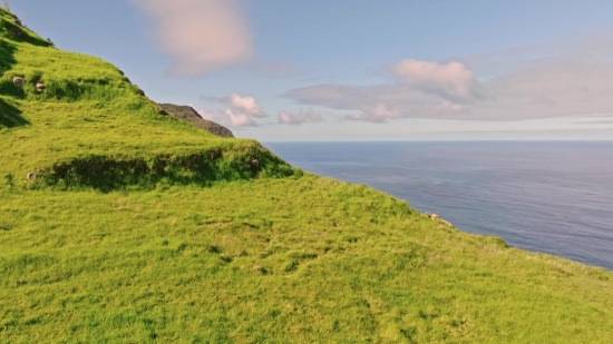 Adobe Stock Vectors, Highland, Gorse, Landscape, Shrub, Sky