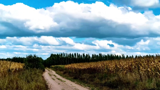 Airplane Stock Footage Free, Sky, Atmosphere, Landscape, Grass, Rural