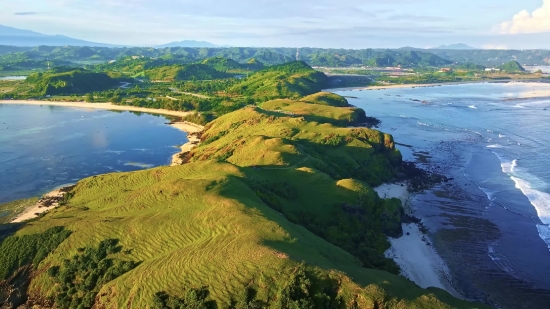 Animal Green Screen Video Free Download, Promontory, Sea, Cape, Coast, Natural Elevation