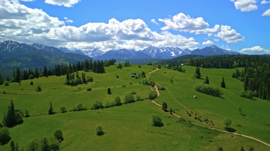 Animal Video Free Copyright, Landscape, Highland, Grass, Field, Rural