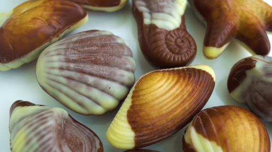 Astronaut Stock Video, Food, Mollusk, Bivalve, Shell, Nut