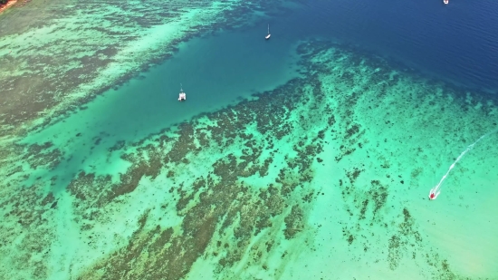 Background Video 4k Free, Reef, Coral Reef, Ocean, Sea, Ridge