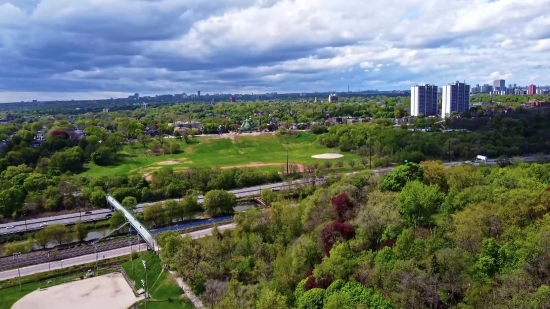 Background Video Download, Landscape, Summer, Tree, Sky, Travel