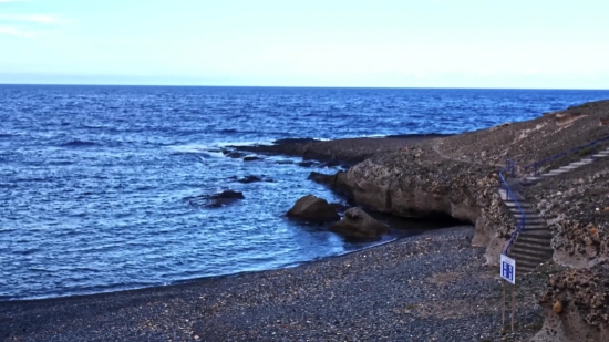 Baleen Whale, Ocean, Sea, Beach, Whale, Water