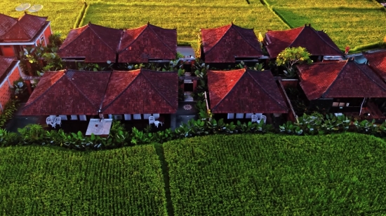 Barn, Building, Farm Building, House, Structure, Grass