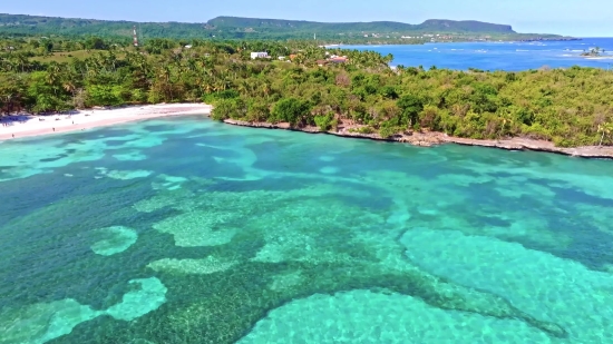 Beach, Coral Reef, Sea, Reef, Ocean, Sand