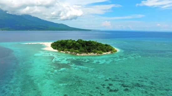 Beach, Ocean, Sea, Coast, Sand, Water