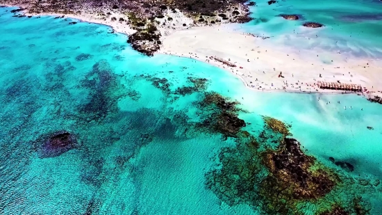 Beach, Ocean, Sea, Water, Coast, Coral Reef