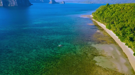 Beach, Ocean, Sea, Water, Coast, Landscape