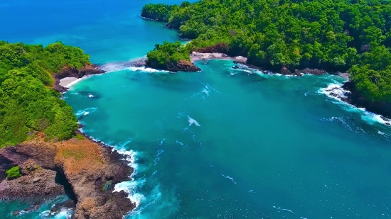 Beach, Ocean, Sea, Water, Landscape, Coast