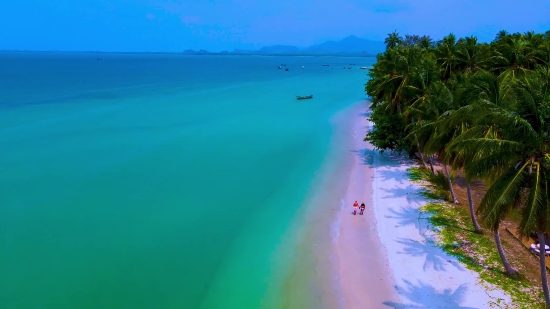 Beach, Ocean, Shoreline, Sea, Coast, Water