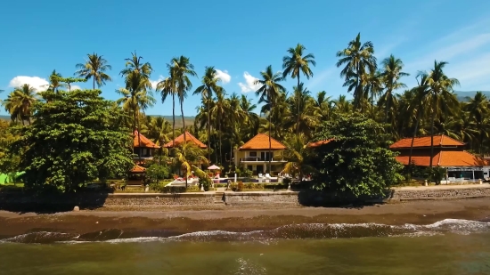 Beach, Resort Hotel, Resort, Palm, Coconut, Tree