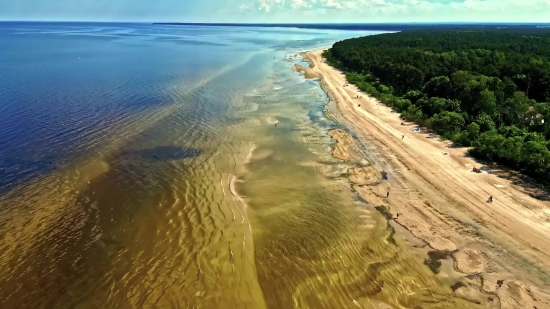 Beach, Sand, Ocean, Sea, Sandbar, Coast