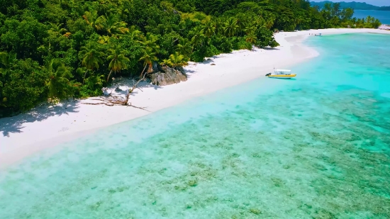 Beach, Sand, Sea, Ocean, Island, Sandbar