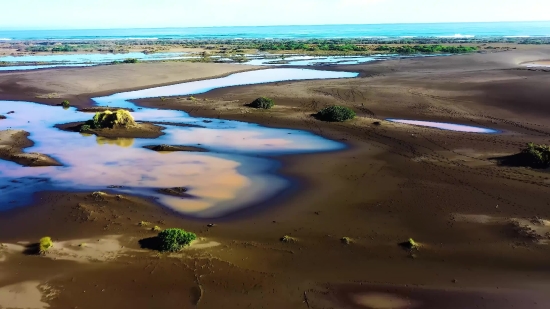 Beach, Sand, Sea, Ocean, Water, Sandbar