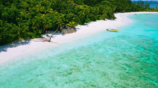 Beach, Sandbar, Sand, Sea, Bar, Ocean