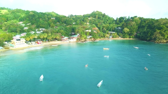 Beach, Sandbar, Water, Sea, Ocean, Island