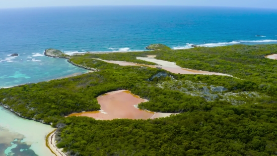 Beach, Sea, Ocean, Coast, Sand, Water