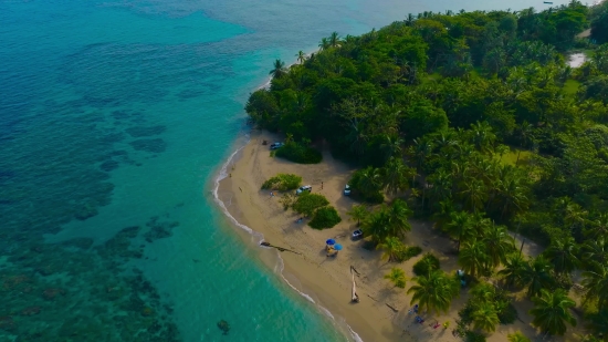 Beach, Sea, Ocean, Coast, Water, Bay