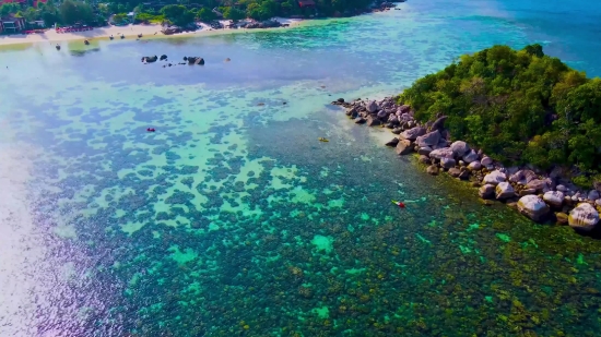 Beach, Sea, Ocean, Coral Reef, Coast, Reef