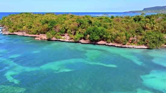 Beach, Sea, Ocean, Island, Water, Coral Reef