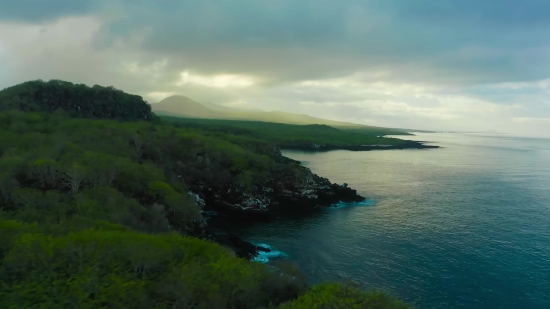 Beach, Sea, Promontory, Coast, Ocean, Landscape