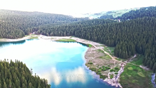 Beach Video Background 4k, River, Lake, Body Of Water, Landscape, Forest