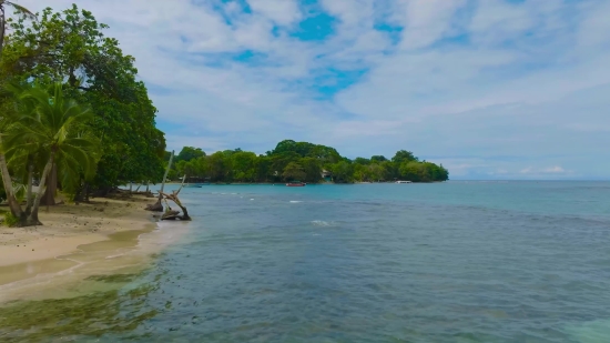 Beach, Water, Ocean, Island, Sea, Shore