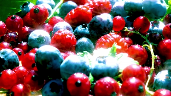 Berry, Currant, Fruit, Blueberry, Edible Fruit, Sweet