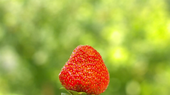 Berry, Strawberry, Fruit, Edible Fruit, Food, Produce