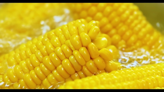 Best Free Video Stock Footage, Corn, Kernel, Grain, Seed, Fruit