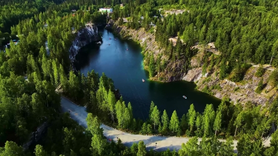 Bird Flying Green Screen Video, River, Channel, Body Of Water, Forest, Landscape