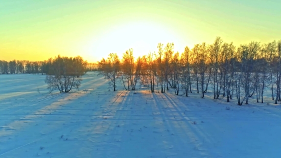 Blue Screen Video Backgrounds Free Download, Landscape, Snow, Tree, Sun, Forest