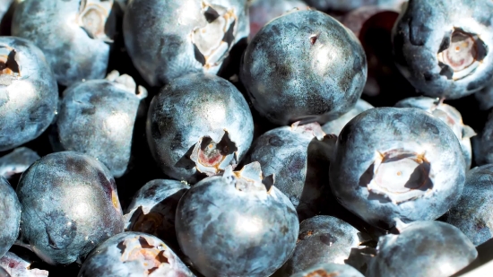 Blueberry, Berry, Edible Fruit, Fruit, Produce, Food