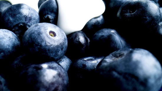 Blueberry, Berry, Edible Fruit, Fruit, Produce, Fresh