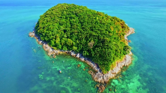 Broccoli, Vegetable, Ocean, Sea, Beach, Coast