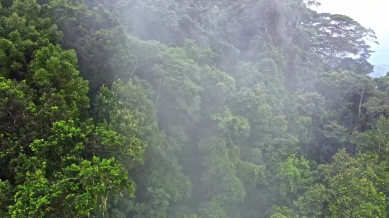 Canyon, Mountain, Landscape, Forest, Valley, River