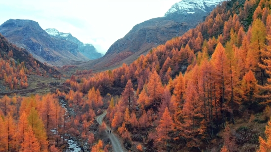 Canyon, Valley, Ravine, Mountain, Landscape, Range