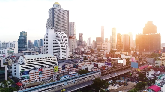 Cat Stock Footage, Business District, City, Skyline, Cityscape, Skyscraper