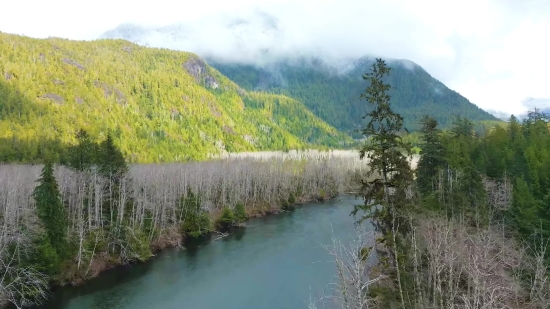 Channel, Body Of Water, Forest, Lake, Landscape, Water