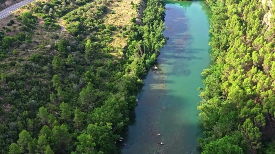 Channel, Body Of Water, Tree, River, Landscape, Forest