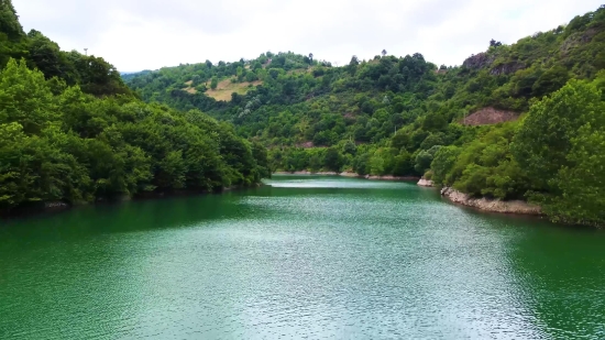 Channel, Body Of Water, Water, Landscape, Lake, Tree