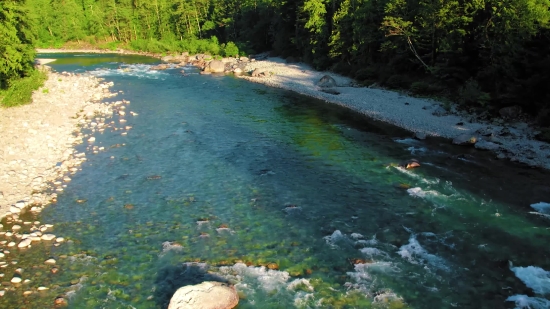 Channel, River, Forest, Body Of Water, Water, Landscape