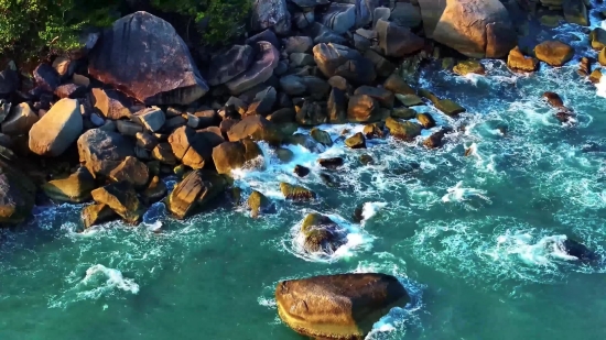 Christmas Tree Stock Footage, Water, Sea, Reef, Coral Reef, Ocean