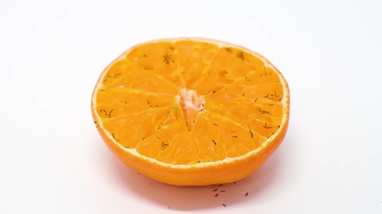 Citrus, Fruit, Orange, Vitamin, Juicy, Edible Fruit