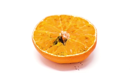 Citrus, Fruit, Tangerine, Mandarin, Orange, Vitamin