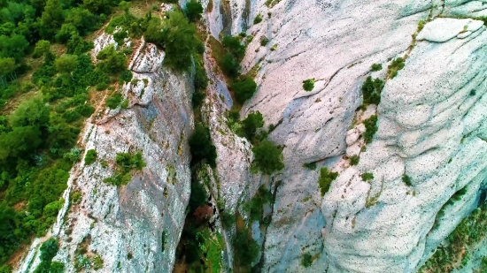 Cliff, Tree, Geological Formation, Rock, Mountain, Stone