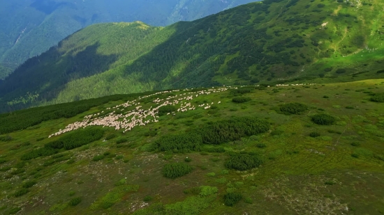 Clip Tiktok, Highland, Landscape, Mountain, Mountains, Grass