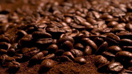 Coffee, Cacao, Tree, Woody Plant, Caffeine, Bean